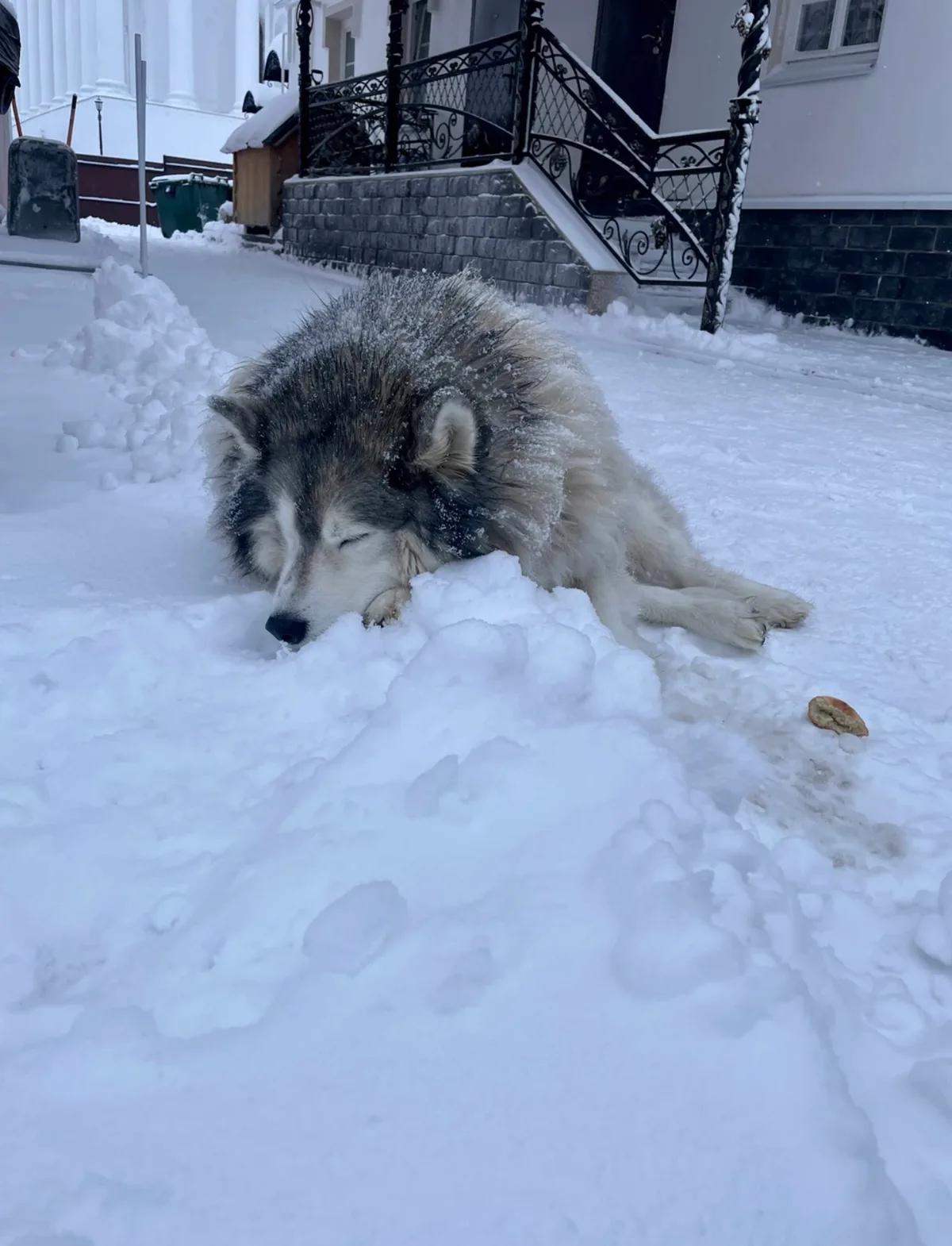 Фото к отзыву Анастасии